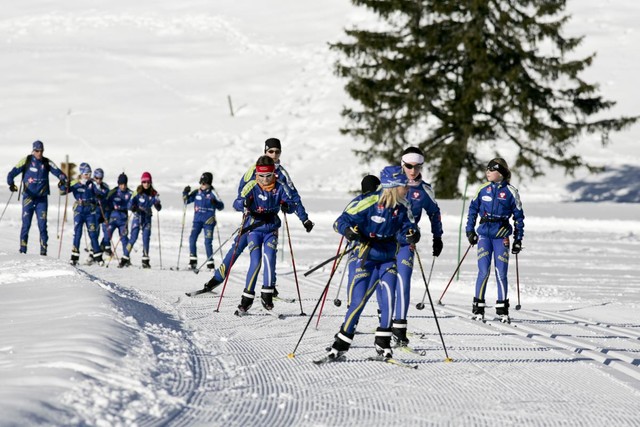 Entraînement benjamins